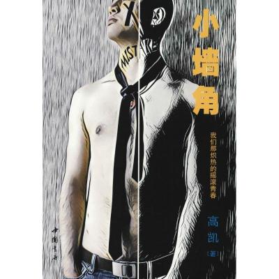 正版新书]小墙角 我们那炙热的摇滚青春高凯9787514921489