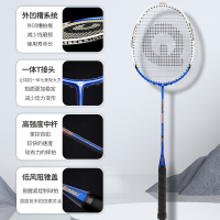 强力(QIANGLI) 羽毛球拍全碳素纤维超轻稳定耐用攻守兼备 101铝合金双拍