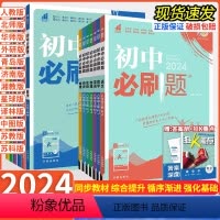 数学[华师版] 八年级下 [正版]2024版 初中必刷题八年级上册下册语文数学英语物理政治历史地理生物人教版北师外研沪科