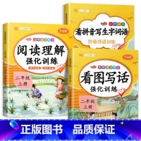 (三本)阅读理解+看图写话+看拼音 小学二年级 [正版]二年级上册看图写话阅读理解看拼音写词语同步练习册人教版语文专项训