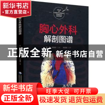 正版 胸心外科解剖图谱 董军,苏俊武主编 中国医药科技出版社 97