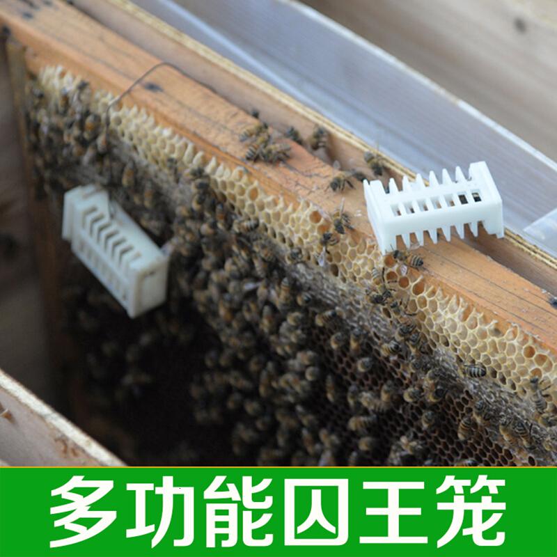 古达蜂具养蜂工具 塑料王笼 蜜蜂多功能蜂王笼囚蜂王囚王笼中蜂蜂箱