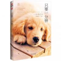 正版新书]只要一分钟(日)原田舞叶|译者:常婷9787530668276