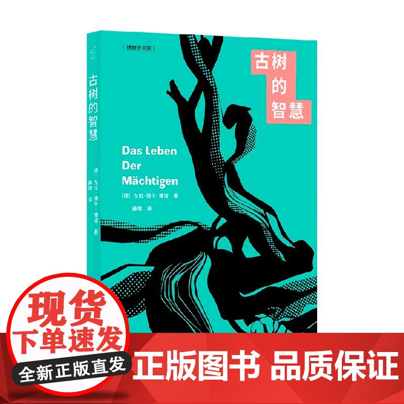 古树的智慧 佐拉·德尔博诺 著 科普读物