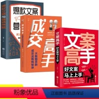 [正版]全3册文案高手+成交高手+文案与营销策略文案高手文案写作文案马上上手案撰写策划实用文案与活动策划文案训