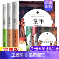 [正版]完整版 六年级版童年书小英雄雨来管桦爱的教育亚米契斯原著高尔基的少年儿童上人民小说教育文学6年级课外书五年级意大