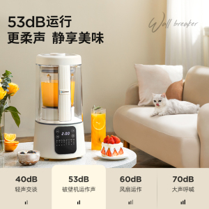 蓝宝(BLAUPUNKT)破壁机家用加热全自动小型豆浆机静低音多功能料理机宝宝辅食机BP-PB09