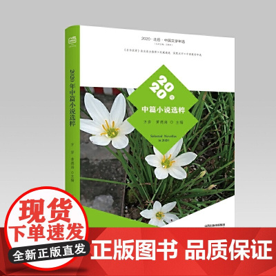2020年中篇小说选粹