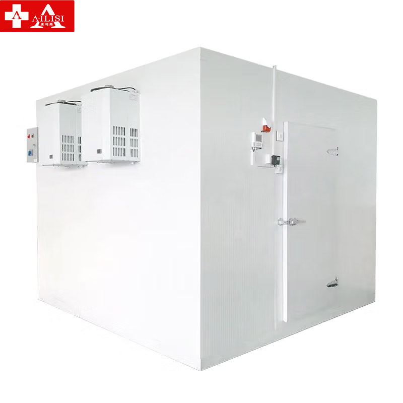 埃利斯(AILISI)冷库制冷全套设备大小型冰柜 大型高低温冷藏冷冻库制冷机组彩钢板60立方冷冻库