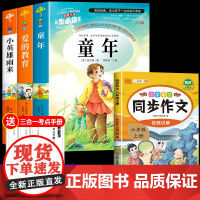 全套3册 童年爱的教育和小英雄雨来六年级上册必读的课外书高尔基管桦原著老师经典书目正版完整版快乐读书吧6上小学阅读书籍