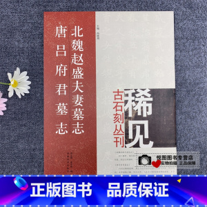 [正版]北魏赵盛夫妻墓志 唐吕府君墓志 稀见古石刻丛刊 尚晓周主编 毛笔书法字帖楷书碑帖 河南美术出版社