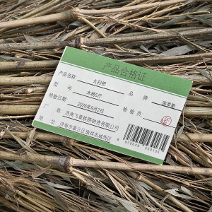 瑞季勤 大扫把