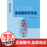系统解剖学实验
