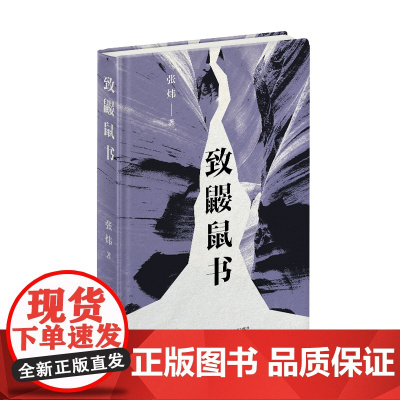 致鼹鼠书(茅盾文学奖得主张炜全新诗集) 张炜 长江文艺出版社 正版书籍