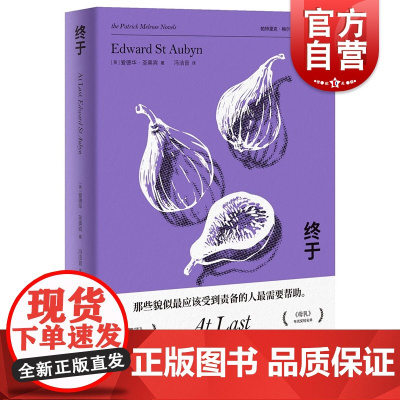 终于 梅尔罗斯五部曲之一 卷福主演电视剧原著小说 帕特里克梅尔罗斯五部曲 上海译文出版社
