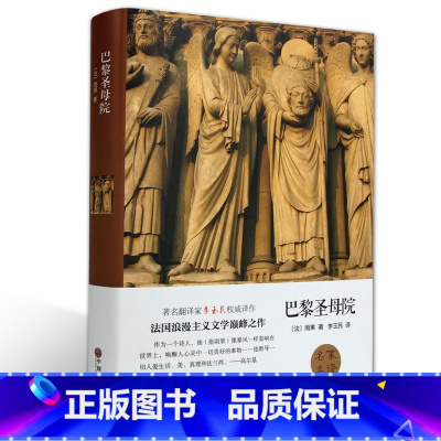 [正版]巴黎圣母院 雨果 名家名译 语文课外阅读书目 国家名师指导读物 世界经典文学小说集名著书店