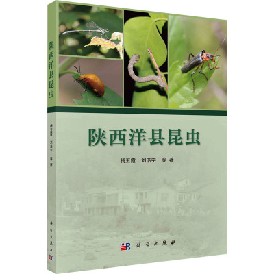 陕西洋县昆虫