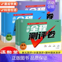 语文+数学(江苏专用) 五年级上 [正版]小学全程测评卷一年级二年级三年级四五六年级上下册语文人教版数学英语译林版江苏教