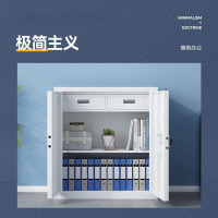 域赢保密柜文件办公档案柜钢制保险柜指纹密码锁灰白矮柜单节带暗抽