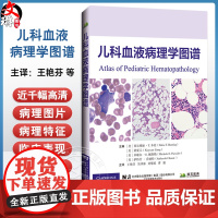 儿科血液病理学图谱 王艳芬 吴泽霖 刘黎琼 曹娟 主译 系统阐述了各类儿科血液病的病理特征等 9787559140937
