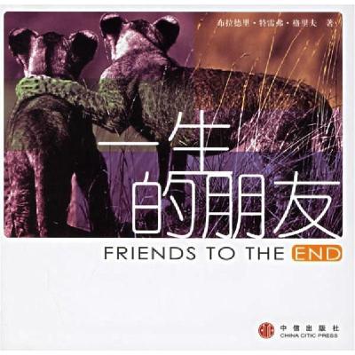 正版新书]一生的朋友(影像大师BTG继《你今天心情不好吗?》后