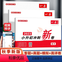 [2024]语数英三本装 小学升初中 [正版]2023新版一本小学毕业升学冲刺新卷小升初总复习试卷语文数学英语名校冲刺历