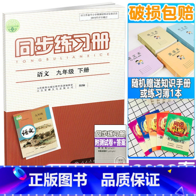 同步练习册 九年级下册 语文 九年级/初中三年级 [正版]2022年春新版 配人教版 初三3下学期同步练习册 语文 九年