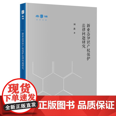 2022新收 新业态知识产权保护法律问题研究 刘鑫 著 法律出版社