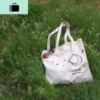 布包女单肩文艺韩版简约百搭学生手提袋小清新日系帆布包insNEW LAKE 蓝色图案女士单肩包