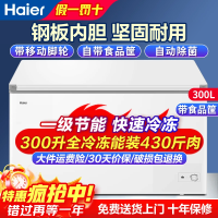 海尔冰柜300升无需除霜一级能效家商两用单温大冷柜 大容量卧式超低温节能省电减霜大冷冻柜可冻420斤肉