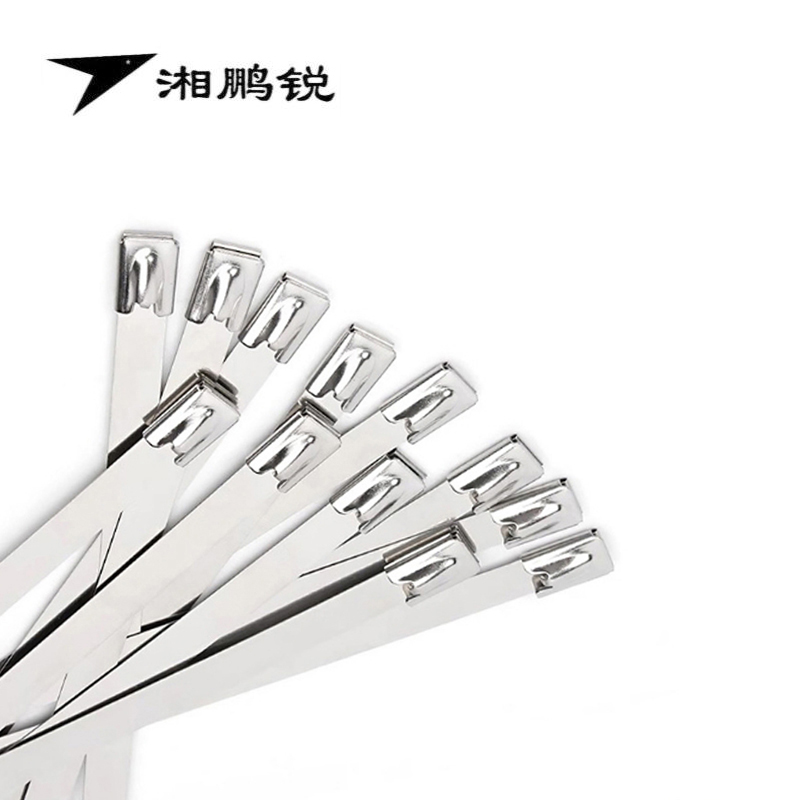 湘鹏锐 防护栅栏扎带(304不锈钢) 4.6mm*500mm 条