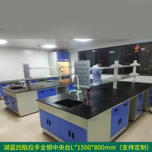 文灵全钢实验台钢木PP边台柜试验台化验室工作台实验室桌操作台定制(每米单价)[工厂现做 7天内发货]