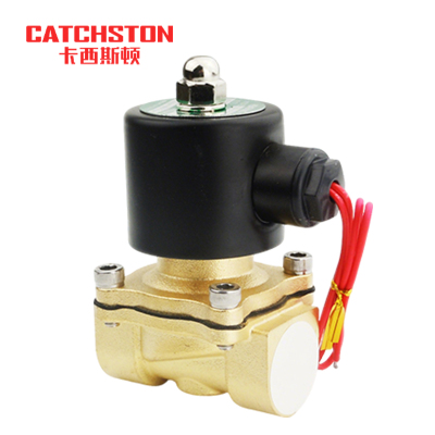 卡西斯顿 管道电磁阀 2W040-10 个