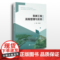 泵闸工程流程管理与实务
