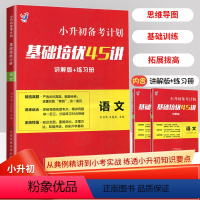 语文 小学升初中 [正版]小升初备考计划基础培优45讲讲解版+练习册语文同步期末冲刺练习册试卷全套