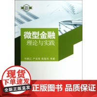 微型金融(理论与实践)/支农支小金融服务创新丛书