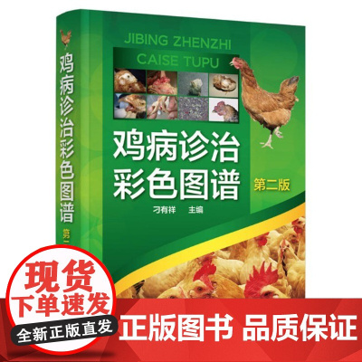 鸡病诊治彩色图谱(第二版)刁有祥主编 9787122313188 2018年新出版 鸡病诊治技术图谱 鸡病诊疗处方 鸡病