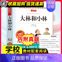 [29元3件]大林和小林 [正版]青鸟书籍 儿童文学读物小学生三四五六年级课外阅读书籍青少年儿童名著故事书四年级课外书必