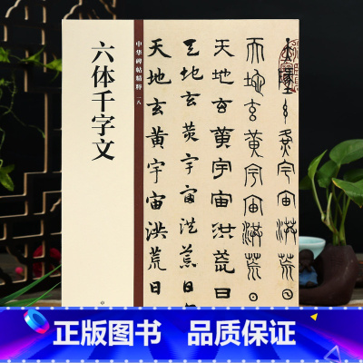 [正版]赵孟頫六体千字文 中华书局 楷书行书隶书篆书草书 16开毛笔字帖 中华碑帖18 简体旁注赵孟俯
