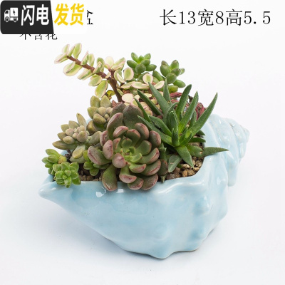 三维工匠创意个性中大小号口径北欧风蓝色家用可爱多肉花盆陶瓷器 浅蓝螺盆 中等花盆容器