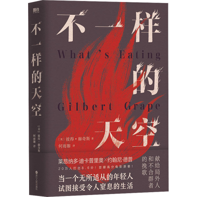 正版新书]不一样的天空(美)彼得·赫奇斯9787213113376