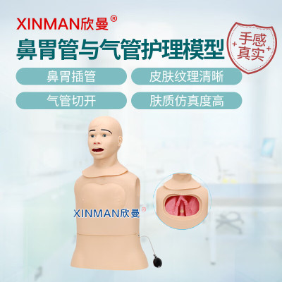 欣曼 高级鼻胃插管及口腔护理模型人 鼻饲模型XM-BWGA