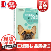 DK狗狗心思大揭秘 汉娜莫洛伊著马克舍伊布迈尔绘宠物生活图书上海文化出版社汪星人情绪行为档案大公开捡屎官养狗撸狗攻略全解