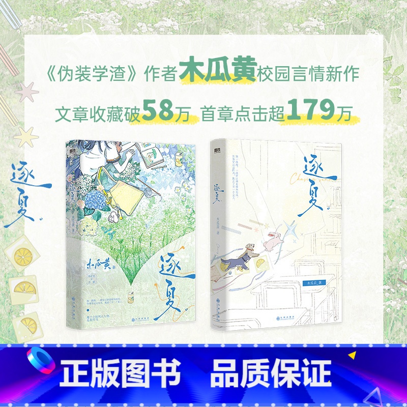 逐夏 [正版]逐夏 小说 木瓜黄 特殊人格朝俞这题超纲了同作者青春文学校园实体书言情图书书籍