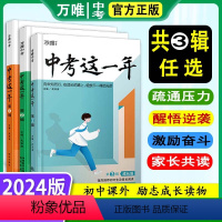 第1.2.3辑(3本套) 初中通用 [正版]万唯中考这一年初中学生青春励志书籍书高效学习方法青少年成长故事好书初中课