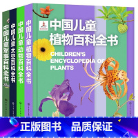 百科系列全套4册 [正版]精装 中国儿童军事百科全书太空植物动物 世界枪械战争武器科普绘本3-6-9-12岁军事知识大百