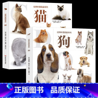 狗+猫 [正版]经典科普图鉴系列 狗猫犬猫的特征性格以及饲养技巧等内容大量美图带您近距离欣赏猫狗了解每种猫特点及习性高清