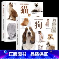 狗+猫 [正版]经典科普图鉴系列 狗猫犬猫的特征性格以及饲养技巧等内容大量美图带您近距离欣赏猫狗了解每种猫特点及习性高清