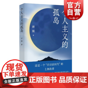 个人主义的孤岛 唐颖中国当代长篇小说洋泾浜时代的上海故事丛书 上海文艺出版社