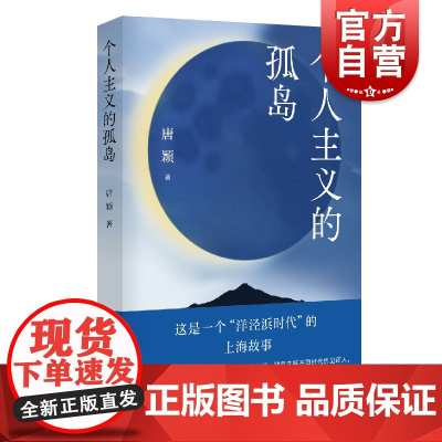 个人主义的孤岛 唐颖中国当代长篇小说洋泾浜时代的上海故事丛书 上海文艺出版社